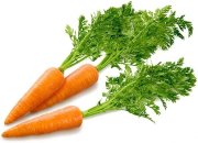 Морковь пудра